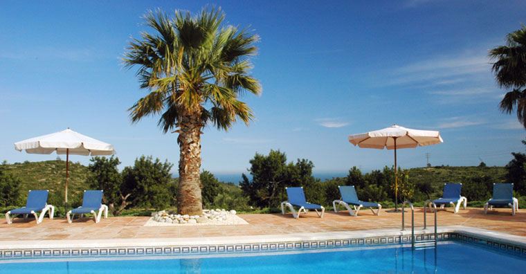 Piscina con palmeras